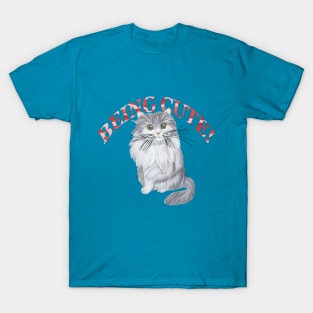 RAGAMUFFIN CAT BEING CUTE T-Shirt